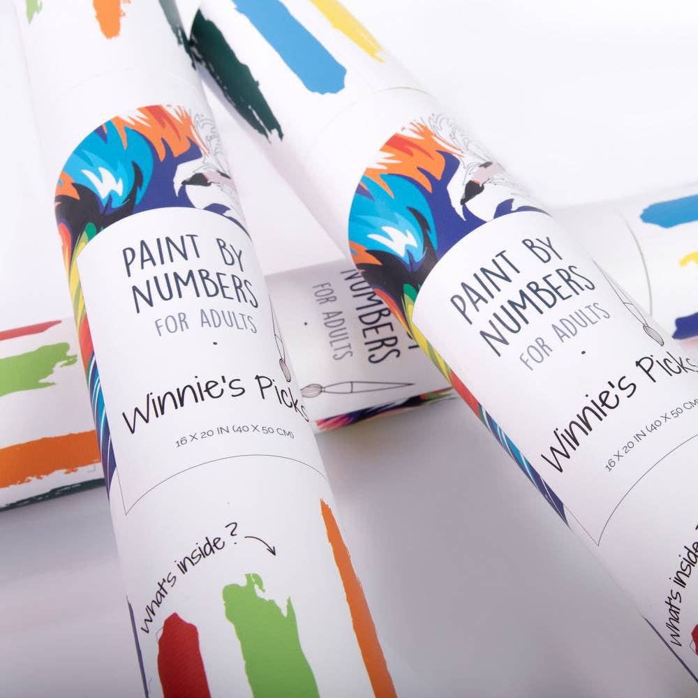 Ruby Throated Hummingbird - DIY Paint by Numbers Kit