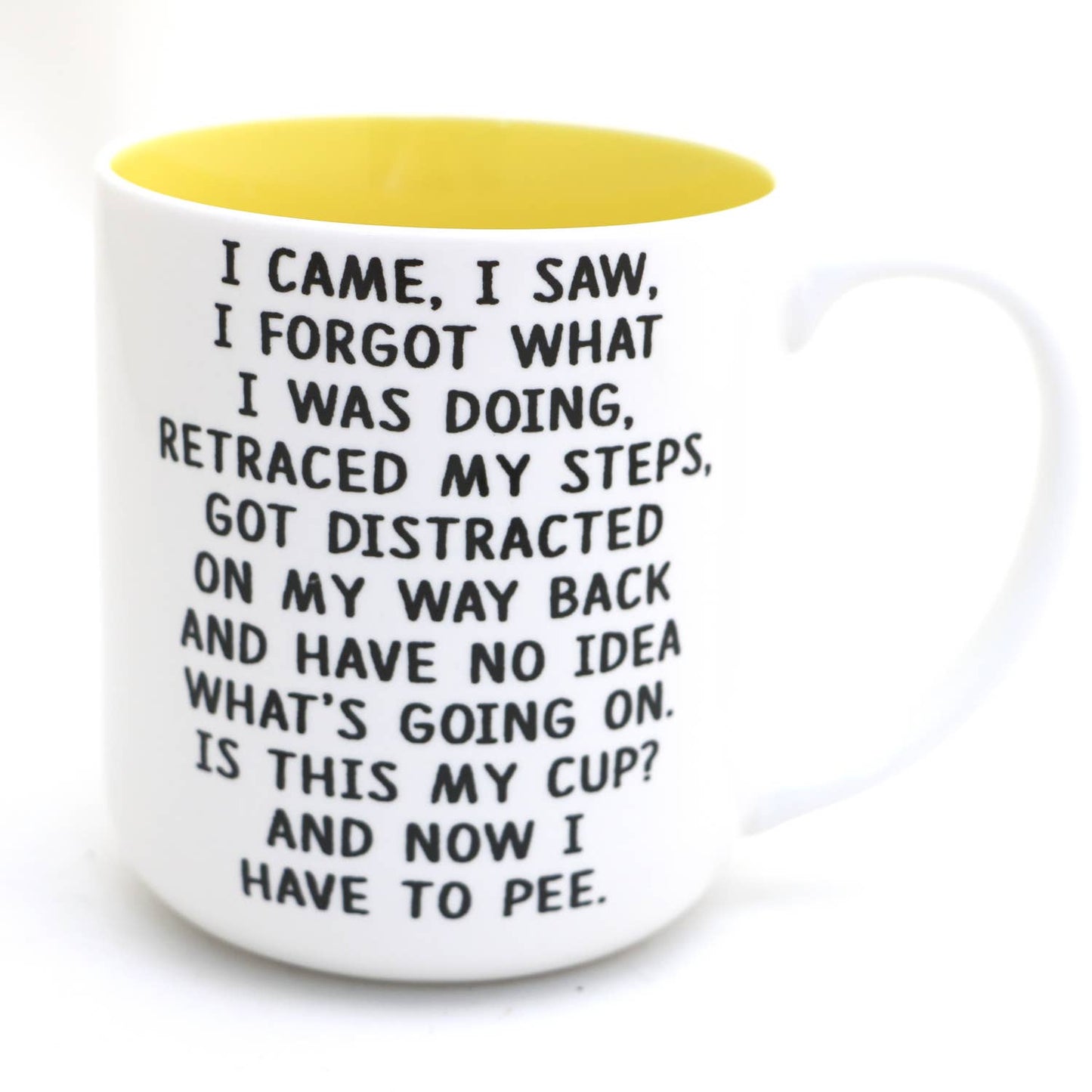 I Came I Saw mug, middle aged, birthday mug, funny adulting