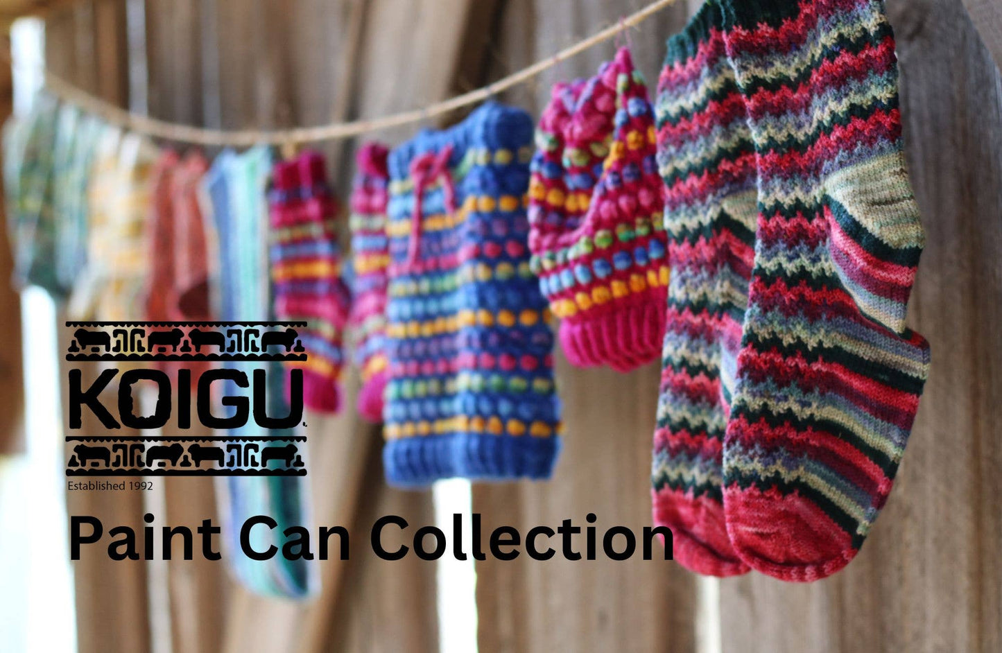 Koigu Paint Can Collection