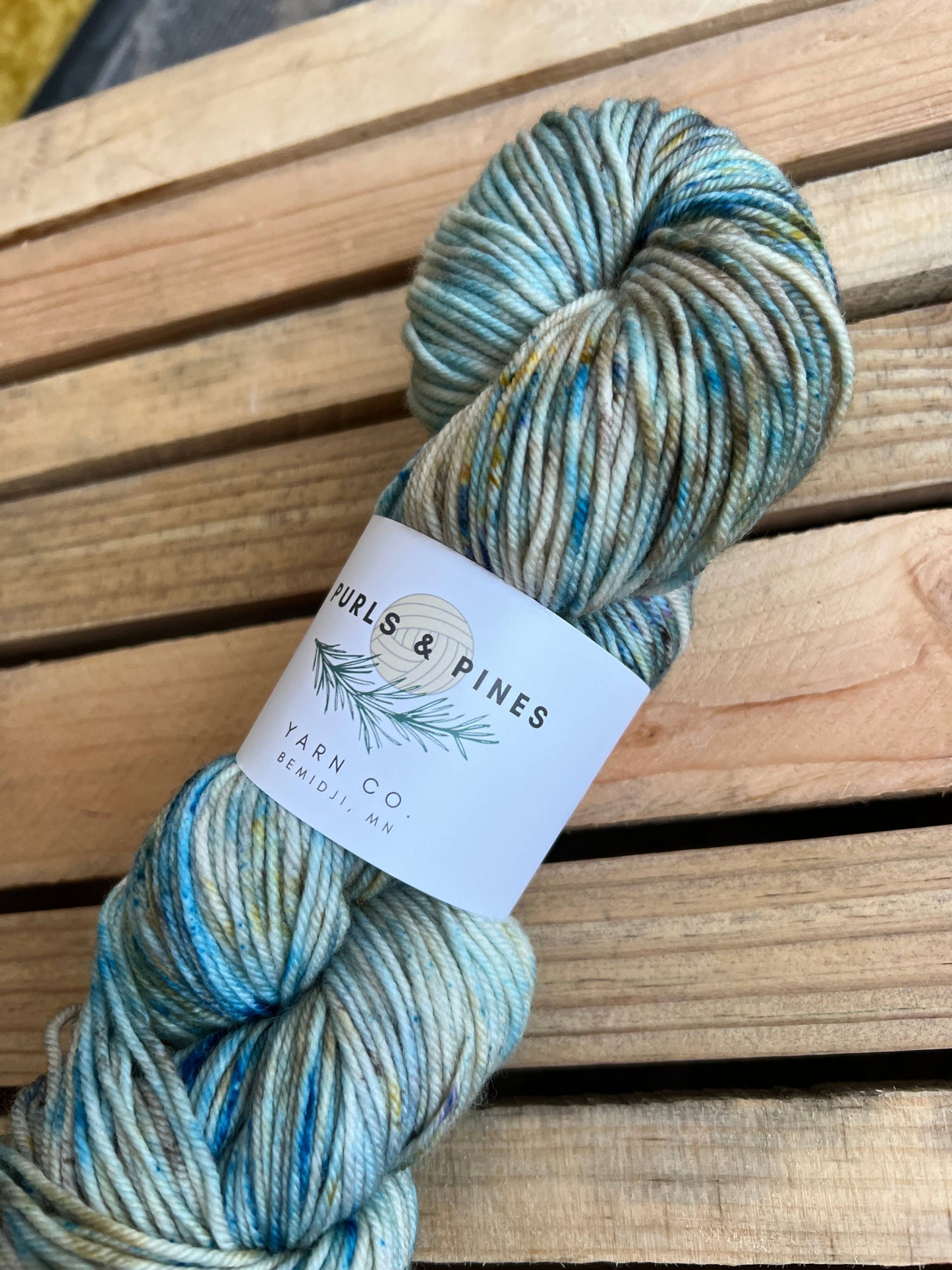 Purls and Pines Shadows On the Lake Hand Dyed Yarn