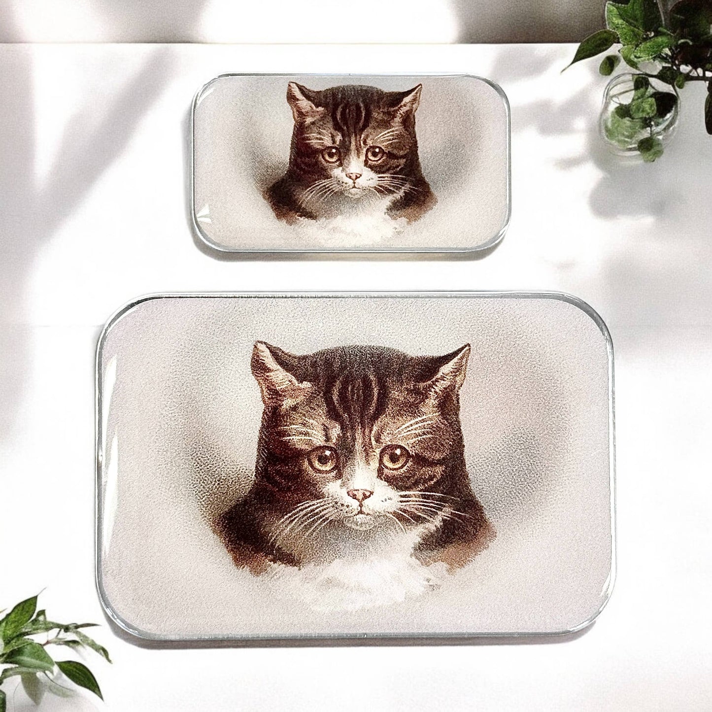 Cat Notions Tin (Handcrafted, Resin Coated)