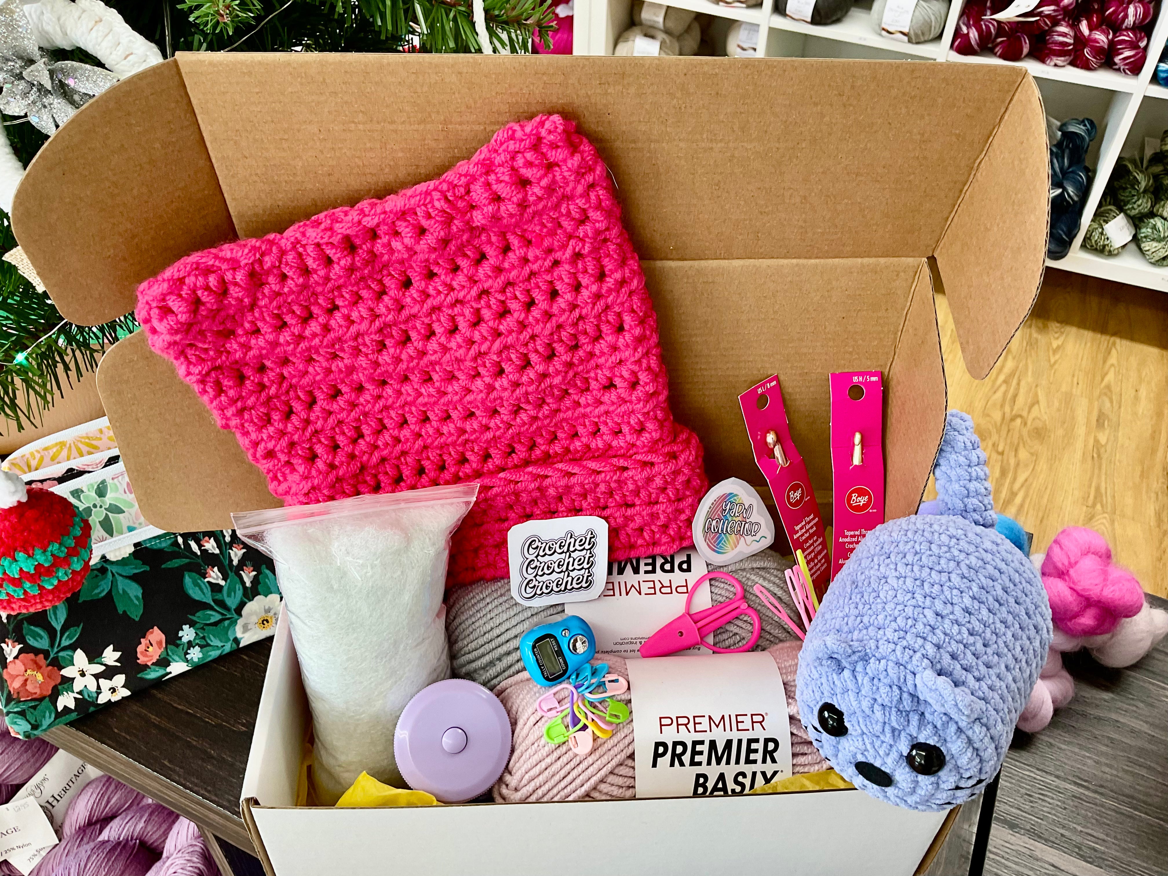 Kids Beginner Crochet Kit – Creators Corner LLC