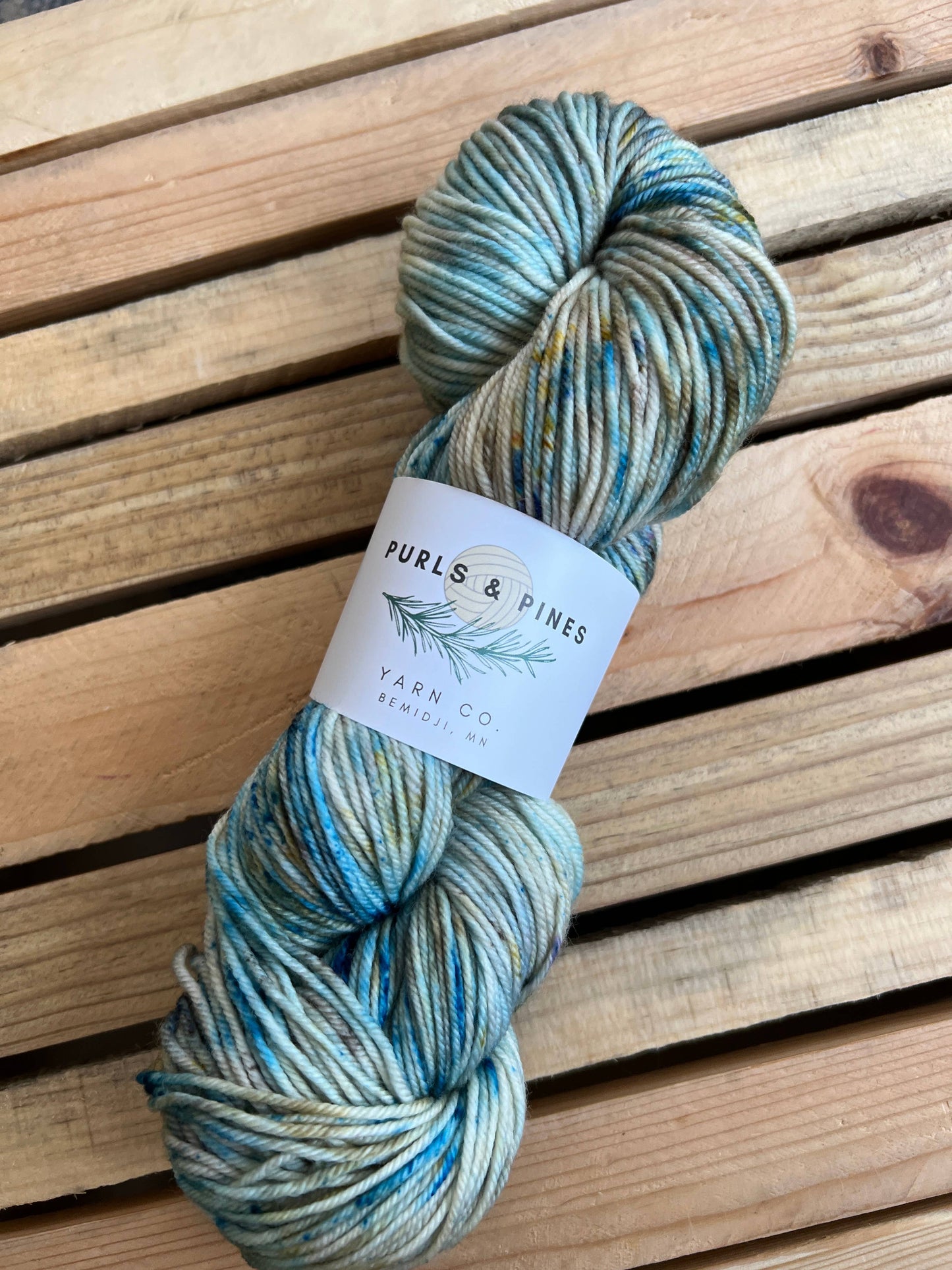 Purls and Pines Shadows On the Lake Hand Dyed Yarn