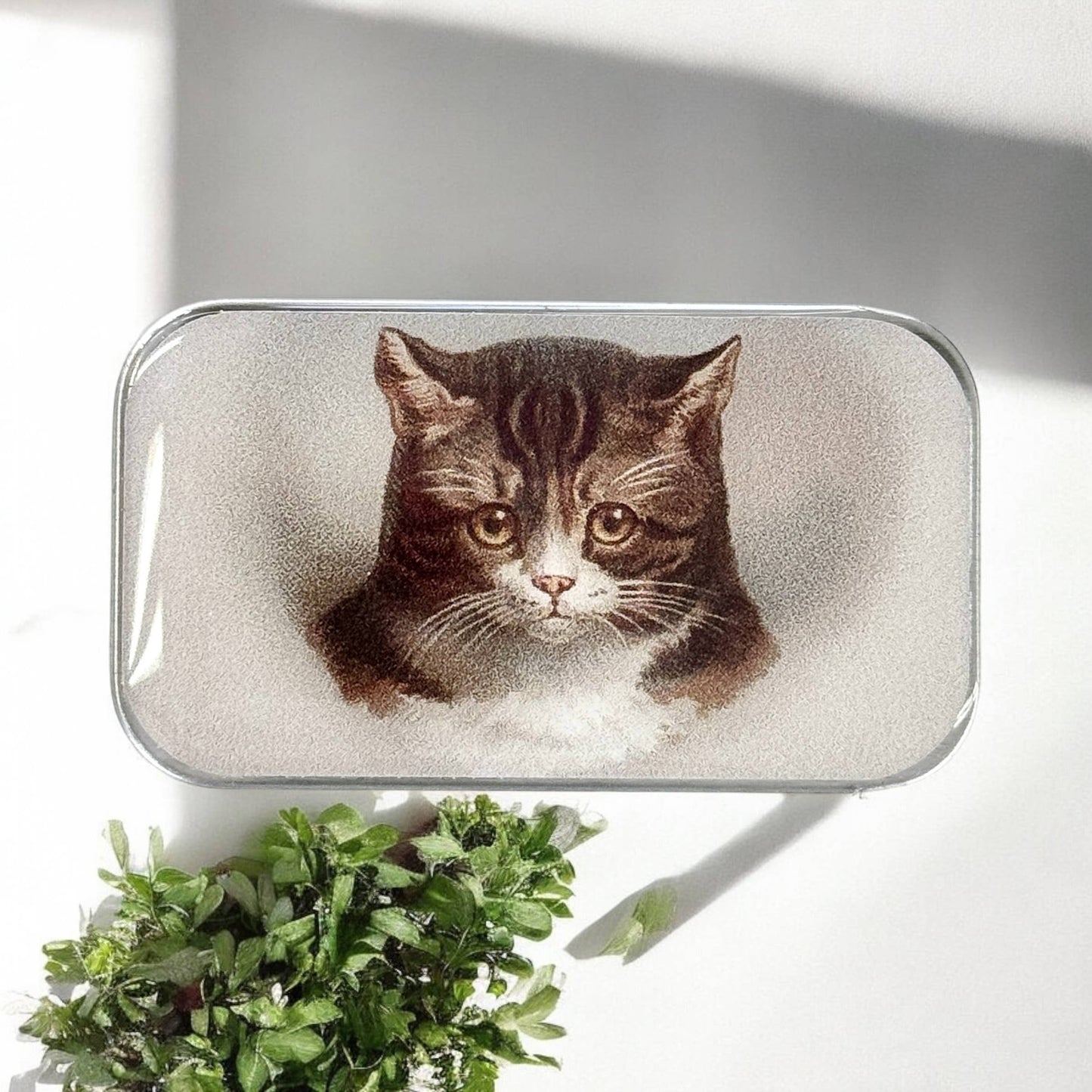 Cat Notions Tin (Handcrafted, Resin Coated)